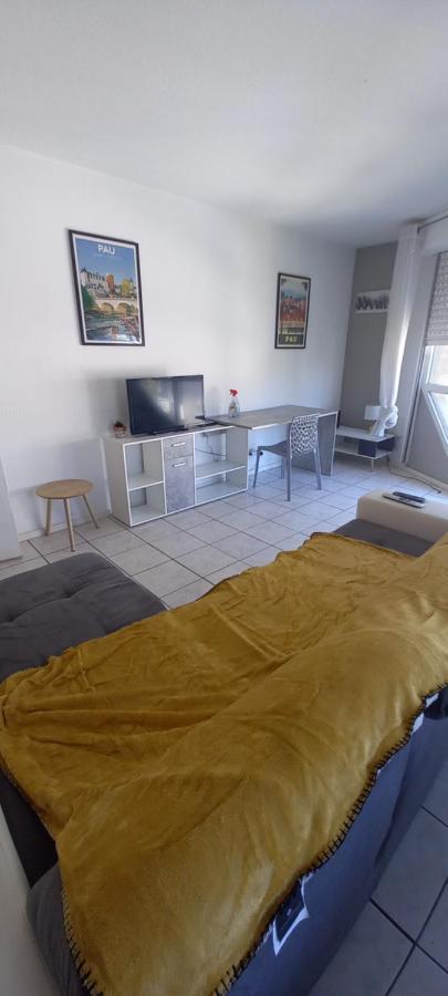 Le Petit Loup Palois - Terrasse & Wifi Fibre Apartment Pau Ngoại thất bức ảnh