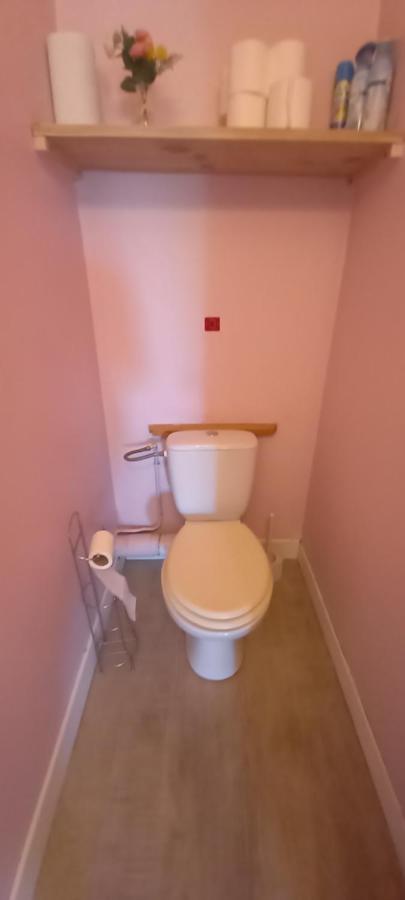 Le Petit Loup Palois - Terrasse & Wifi Fibre Apartment Pau Ngoại thất bức ảnh