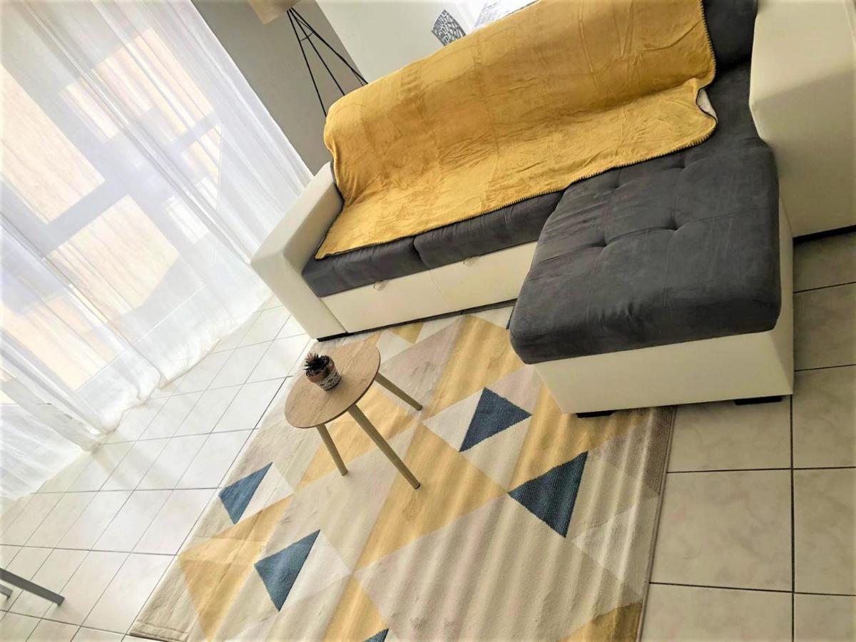 Le Petit Loup Palois - Terrasse & Wifi Fibre Apartment Pau Ngoại thất bức ảnh